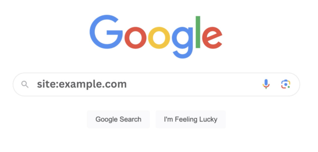 The site: operator in Google